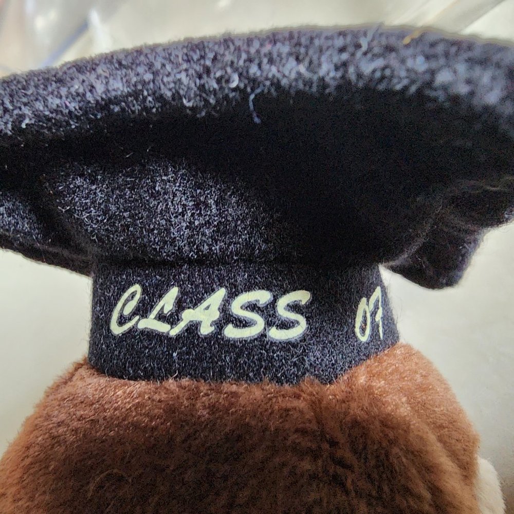 TY Beanie Babies - Rare Wise The Owl Date Errors! - Picture 5 of 10
